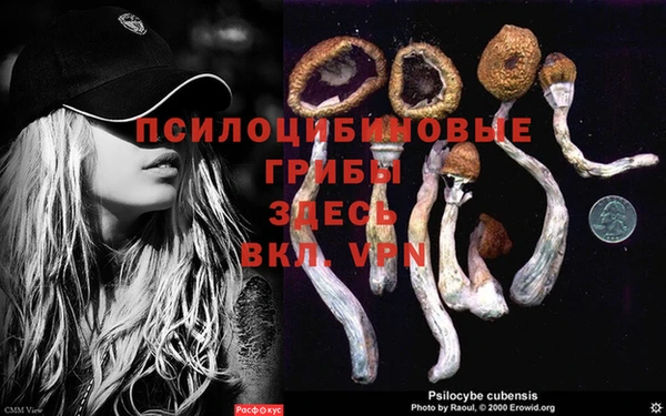каннабис Заволжье