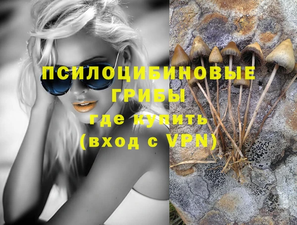хмурый Заводоуковск
