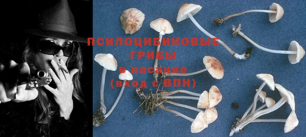 хмурый Заводоуковск