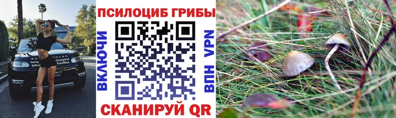 Галлюциногенные грибы Psilocybine cubensis  продажа наркотиков  Ликино-Дулёво 