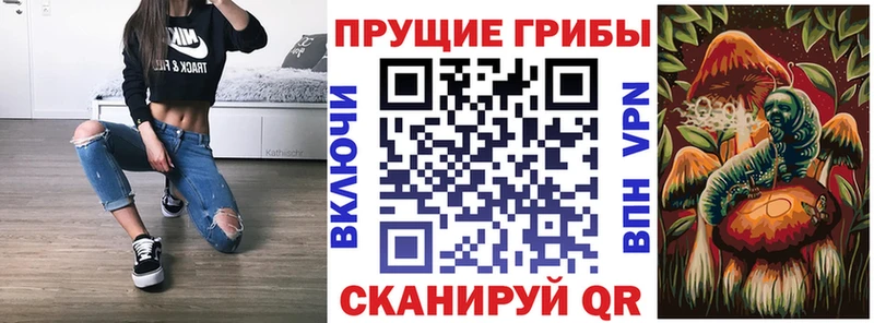 Псилоцибиновые грибы мухоморы Ликино-Дулёво